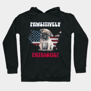 4th of July Independence Day Patriotic French Bulldog Funny Design for Dog Lovers Hoodie